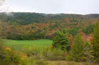Subtle fall color on an overcast day up on Shaker Mountain Road.