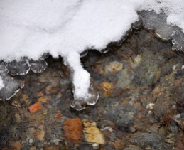 Ice in Fargo Brook