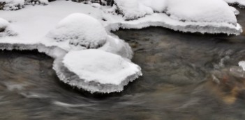 Snow and ice along the bank of Fargo Brook