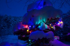 The Holiday lights on our little tree look lovely covered with snow this morning...