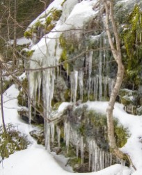 Icicle draped ledges at Mad River Glen yesterday...