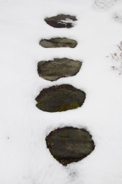 Stone steps emerge from the snow in our back garden. Hopefully these will get covered tomorrow...