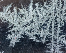 Frost on the garage window...