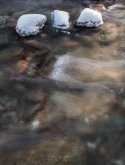 Three snow-capped stones in Fargo Brook.