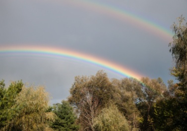 A lovely double rainbow graced the sky yesterday evening as a quick shower moved through.