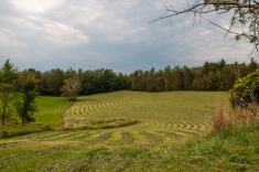 Contoured hay rows on Taft Hill yesterday morning.