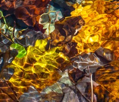 Another impressionistic shot of colorful leaves in Fargo Brook.