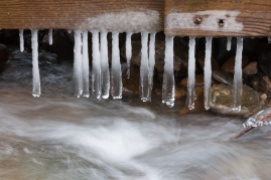 Long, bulbous icicles formed beneath our old bridge down in Fargo Brook.