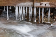 Long, bulbous icicles form beneath our old bridge down Fargo Brook.