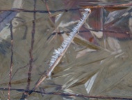 A frosted twig held in facetted pond ice yesterday morning.
