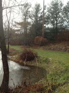 Our power lines in the pond...