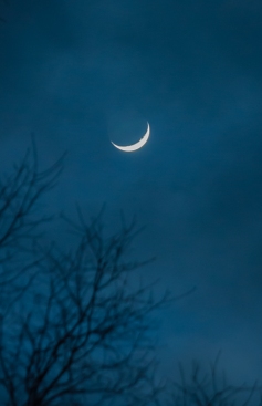 Yesterday evening's crescent moon peeks out from behind the clouds.