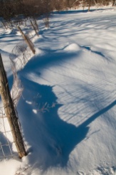 Our garden fence casts interesting shadows across the snow...