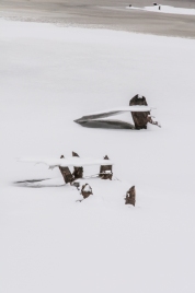 Suspended plates of ice cling to beaver-chewed sticks rising out of one of the Audubon Center ponds.
