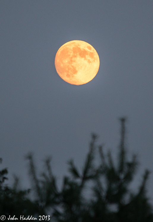 The nearly full "Sturgeon" moon rising orange yesterday evening.