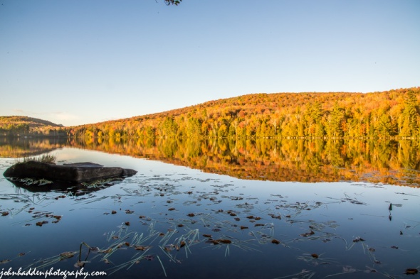 The setting sun lights up the foliage on the far side of Ricker Pond.