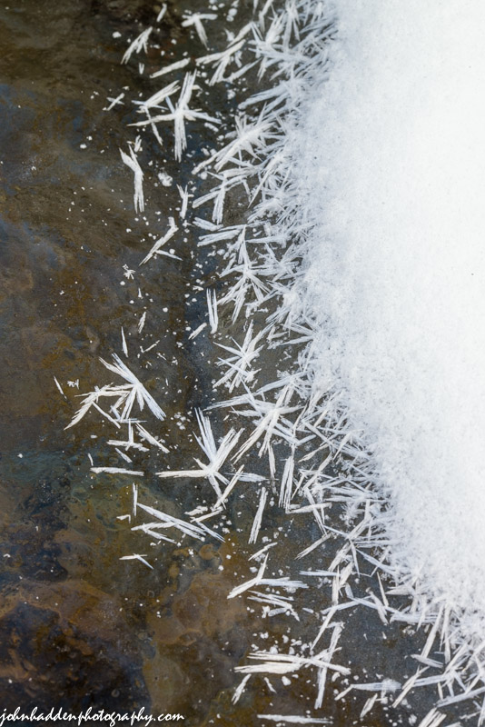 Spiny frost crystals at the edge of snow on the ice of Fargo Brook