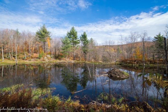 The Mailbox Trail beaver pond on its way into "stick season"