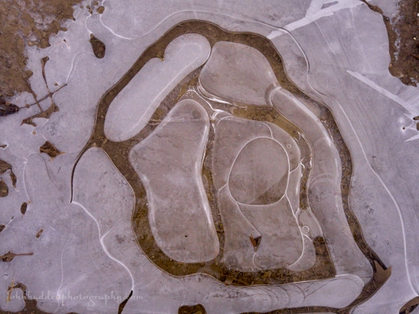 puddle-ice