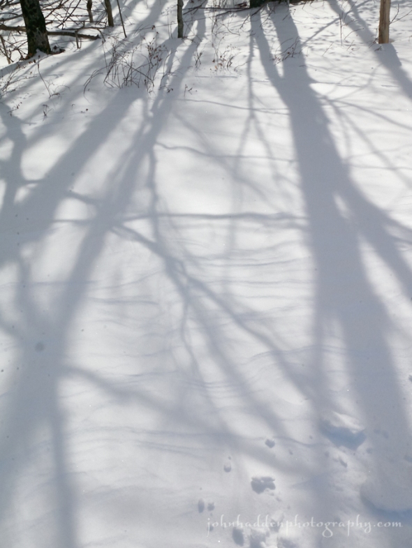 snow-shadows