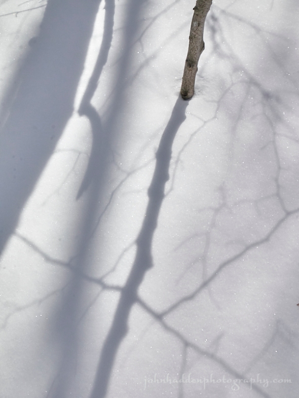 snow-shadows