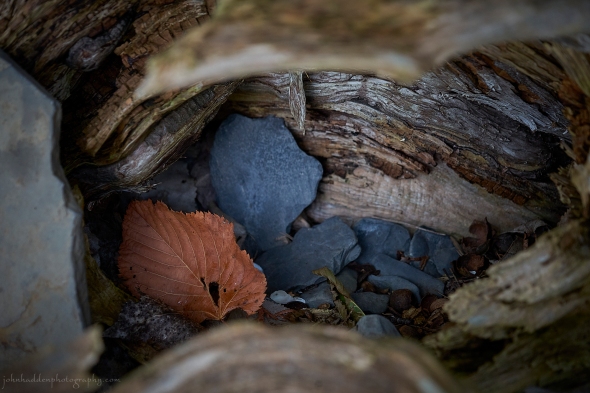 leaf-stoen-cave